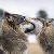 Find Aaron R Castaneda Phone Number, Location, Email, and more on Intelius