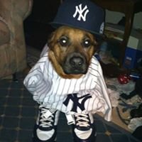 Find Aaron M Starzyk Phone Number, Location, Email, and more on Intelius