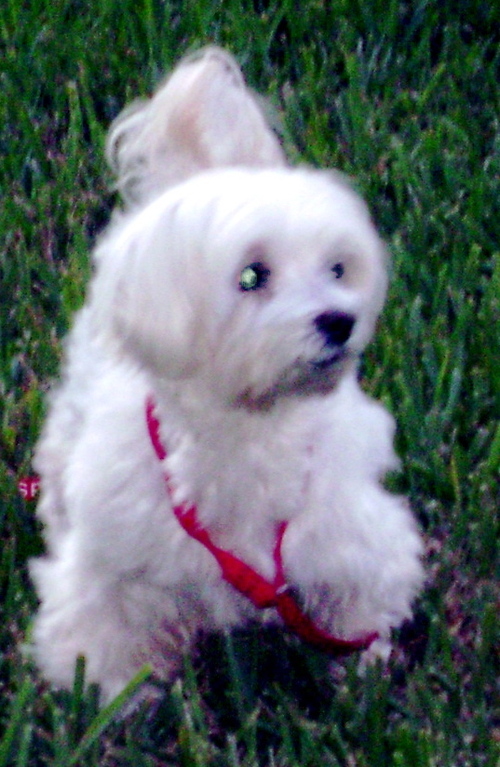 Find Adele Brannon Mccollum Phone Number, Location, Email, and more on Intelius