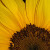 Find Adrian Fuentes Moreno Phone Number, Location, Email, and more on Intelius