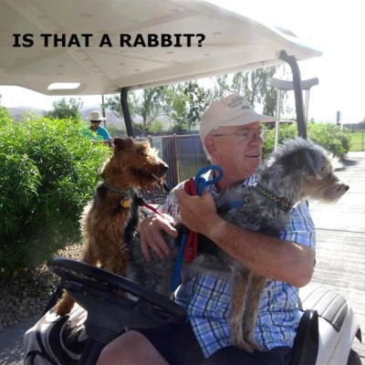 Find Alan D Gamble Phone Number, Location, Email, and more on Intelius