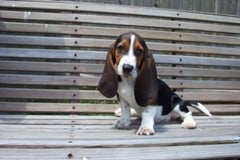 Find Alan Wayne Junghans Phone Number, Location, Email, and more on Intelius