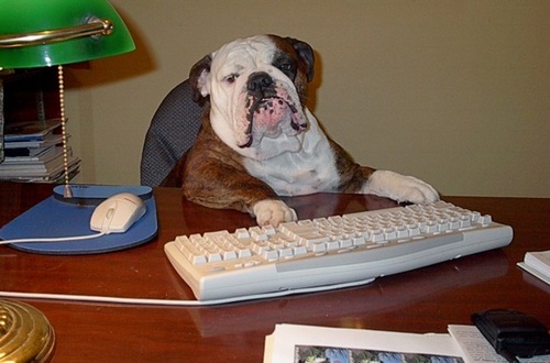 Find Alan Leafy Vaughn Phone Number, Location, Email, and more on Intelius