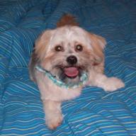 Find Albert G Rose Phone Number, Location, Email, and more on Intelius