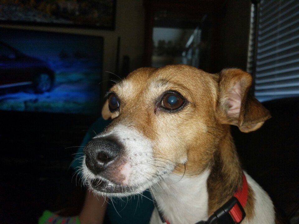Find Albert S Vrabel Phone Number, Location, Email, and more on Intelius
