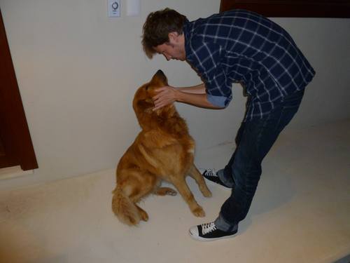 Find Alex Kent Phone Number, Location, Email, and more on Intelius