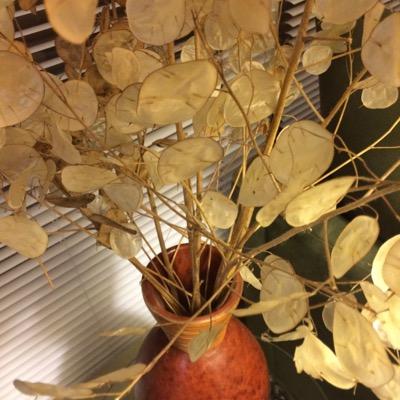 Find Alice Johnston Thacker Phone Number, Location, Email, and more on Intelius