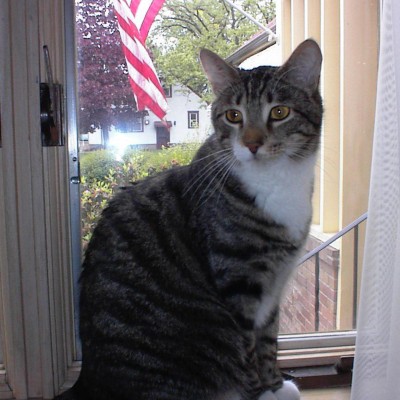Find Alison Marie Jackson Phone Number, Location, Email, and more on Intelius
