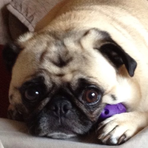 Find Allyson Mandel Pittman Phone Number, Location, Email, and more on Intelius