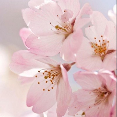 Find Alyssa Lyn Meyer Phone Number, Location, Email, and more on Intelius