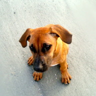 Find Amanda Marie Bowden Phone Number, Location, Email, and more on Intelius