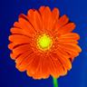 Find Amanda N Fly Phone Number, Location, Email, and more on Intelius