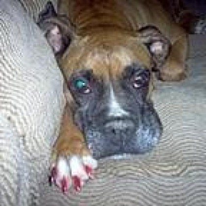 Find Amanda C Hightower Phone Number, Location, Email, and more on Intelius