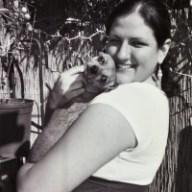 Find Amanda Raquel Scholze Phone Number, Location, Email, and more on Intelius