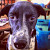 Find Amethyst J Walker Phone Number, Location, Email, and more on Intelius