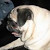 Find Amy Lynn Baird Phone Number, Location, Email, and more on Intelius