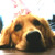Find Amy Marie Bancroft Phone Number, Location, Email, and more on Intelius
