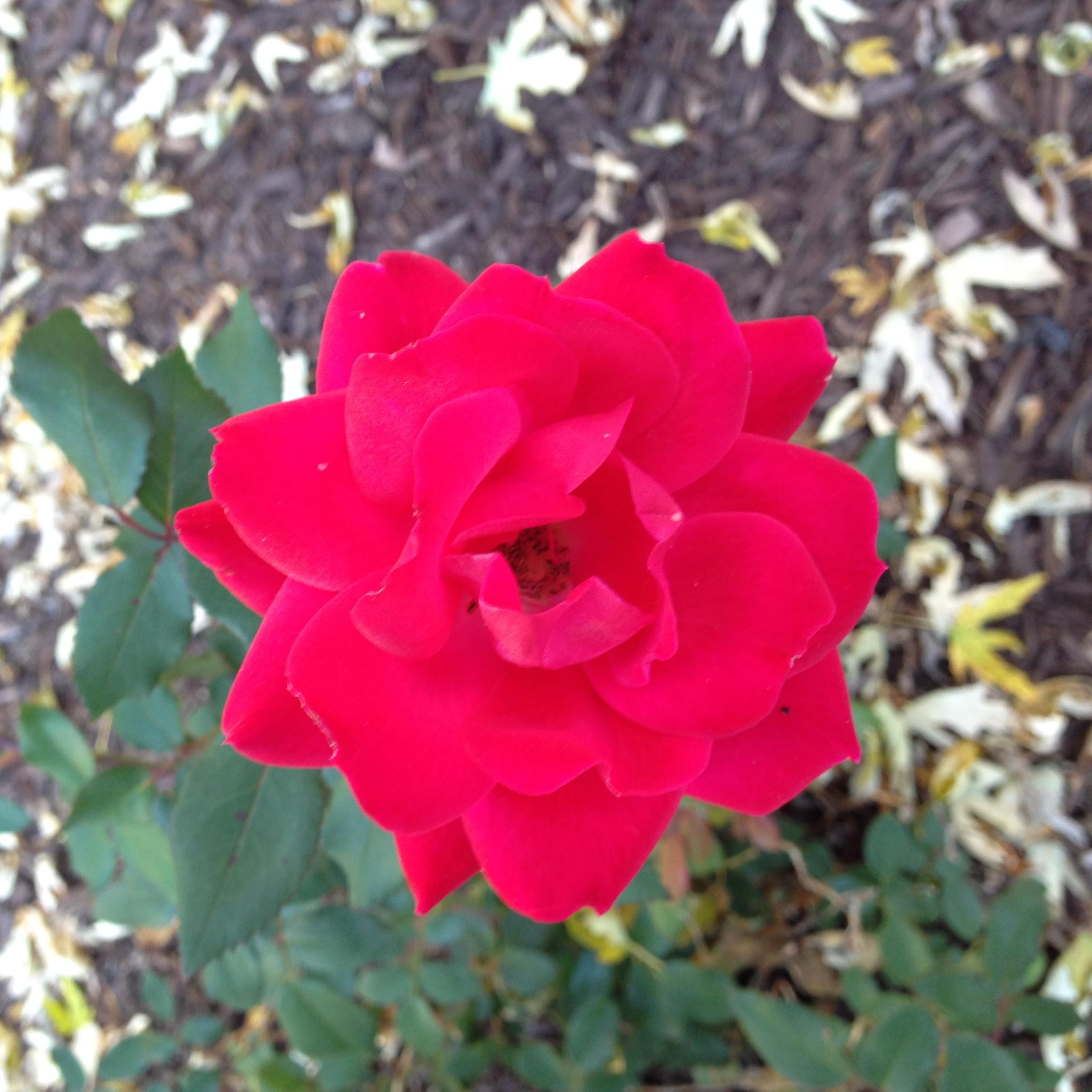Find Amy Louise Bennett Phone Number, Location, Email, and more on Intelius