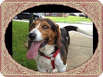 Find Amy E Brown Phone Number, Location, Email, and more on Intelius