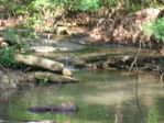Find Amy Dawn Craft Phone Number, Location, Email, and more on Intelius