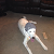 Find Amy D Devries Phone Number, Location, Email, and more on Intelius