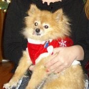 Find Amy Kathleen Geier Phone Number, Location, Email, and more on Intelius