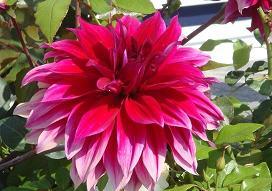 Find Amy G Grim Phone Number, Location, Email, and more on Intelius