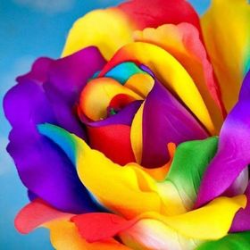 Find Amy Michelle Guittar Phone Number, Location, Email, and more on Intelius