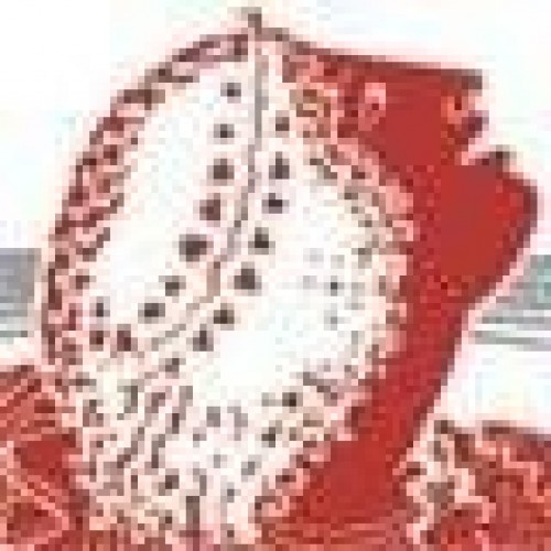 Find Amy Cohen Shaffer Phone Number, Location, Email, and more on Intelius