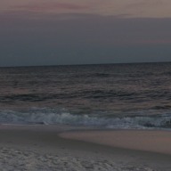 Find Amy Jean Singleton Phone Number, Location, Email, and more on Intelius