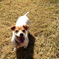 Find Amy Beth Wolfe Phone Number, Location, Email, and more on Intelius