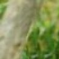 Find Ana L Akel Phone Number, Location, Email, and more on Intelius