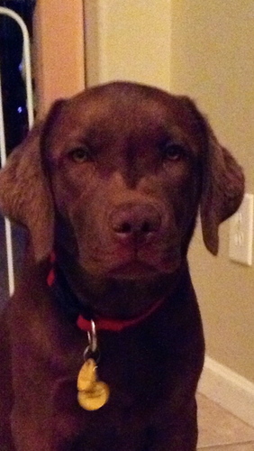 Find Andre J Bouvier Phone Number, Location, Email, and more on Intelius
