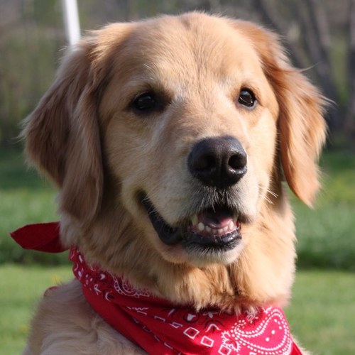 Find Andrew B Ramir Phone Number, Location, Email, and more on Intelius
