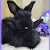 Find Angela Cockerham Phone Number, Location, Email, and more on Intelius