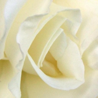 Find Angela M Harris Phone Number, Location, Email, and more on Intelius