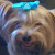 Find Angela Nanette Juarez Phone Number, Location, Email, and more on Intelius