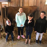 Find Angelo Michael Balone Phone Number, Location, Email, and more on Intelius