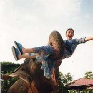 Find Anh Chu Cooper Phone Number, Location, Email, and more on Intelius