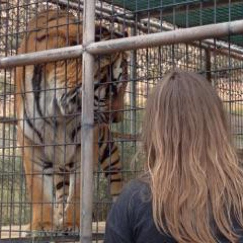 Find Anke C Roepke Phone Number, Location, Email, and more on Intelius