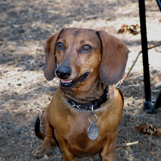 Find Ann C Goldhammer Phone Number, Location, Email, and more on Intelius