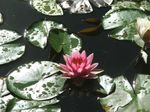 Find Anna P Bruce Phone Number, Location, Email, and more on Intelius