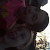 Find Anna Leigh Carter Phone Number, Location, Email, and more on Intelius