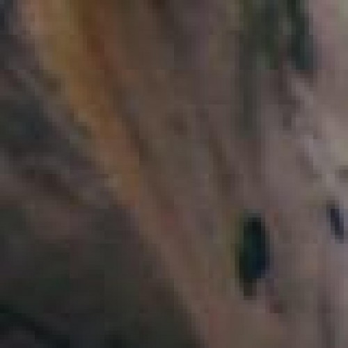 Find Anna Catherine Culpepper Phone Number, Location, Email, and more on Intelius
