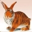 Find Anna Rice Pritchard Phone Number, Location, Email, and more on Intelius
