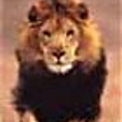 Find Anne Shumate Philpot Phone Number, Location, Email, and more on Intelius