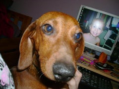 Find Anthony C Toby Phone Number, Location, Email, and more on Intelius