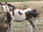 Find April Hall Hutto Phone Number, Location, Email, and more on Intelius