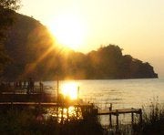 Find Arinn Ashley Olson Phone Number, Location, Email, and more on Intelius