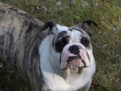 Find Arlene M Cunningham Phone Number, Location, Email, and more on Intelius